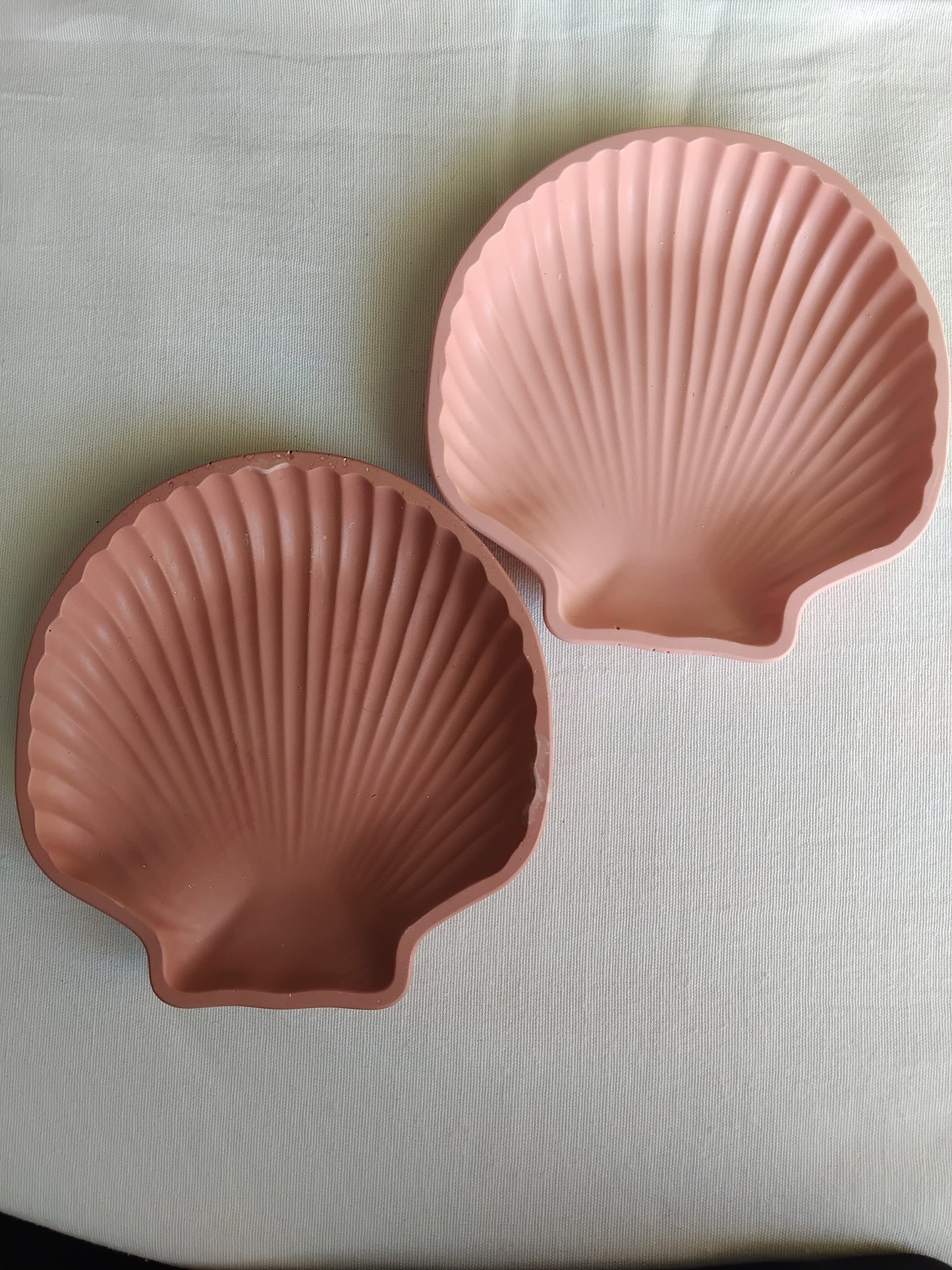 Coupelle coquillage